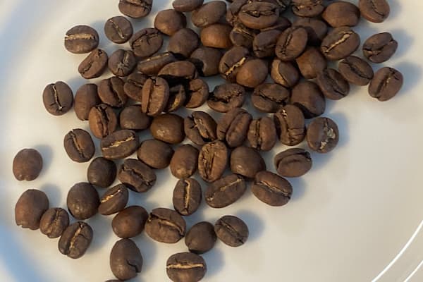 手紙社コーヒー豆”コーヒーのうた　浅煎り” 大粒できれいな豆